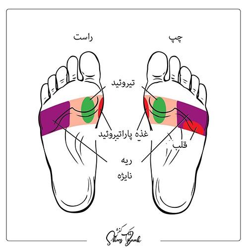 ماساژ قسمت مرکزی شست پا
